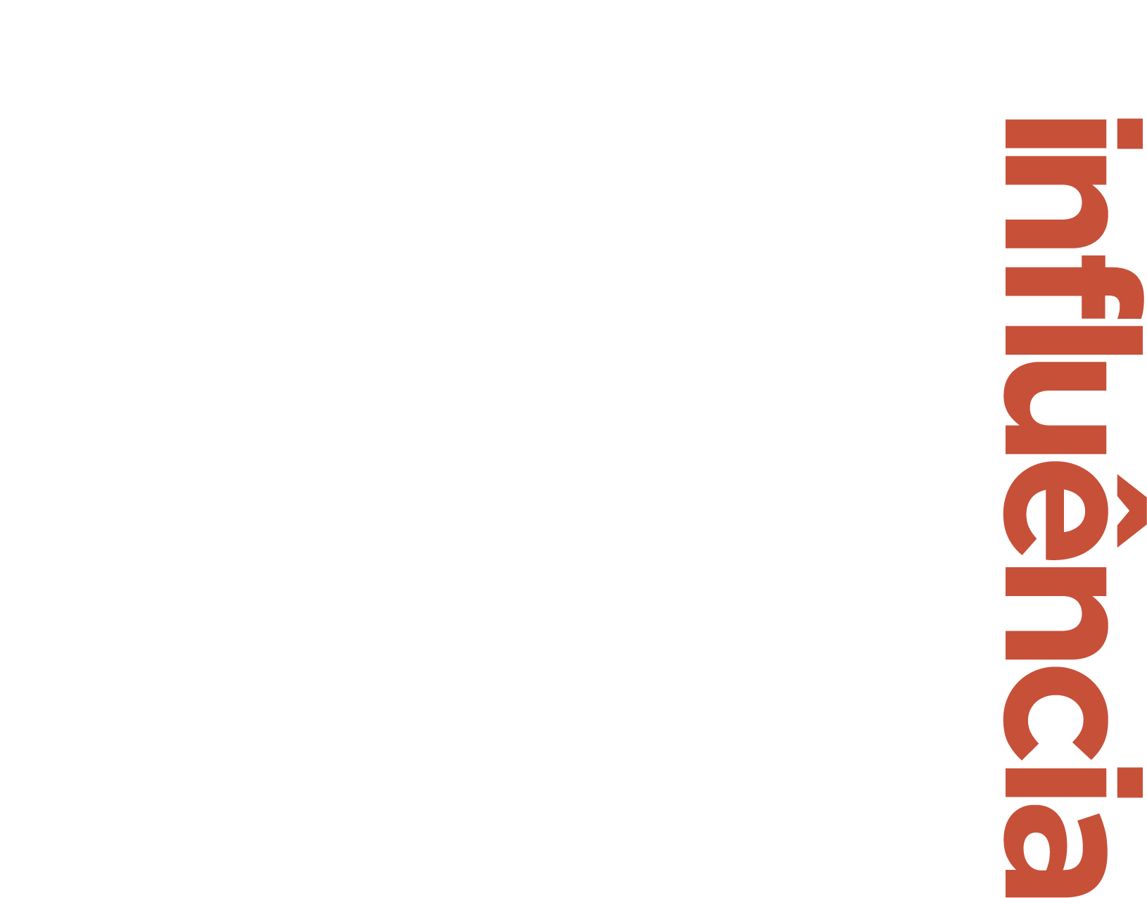 Digital Influência